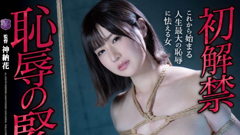 藤森里穂(Fujimori-Riho)作品JBD-272封面预览及内容赏析-知尤园