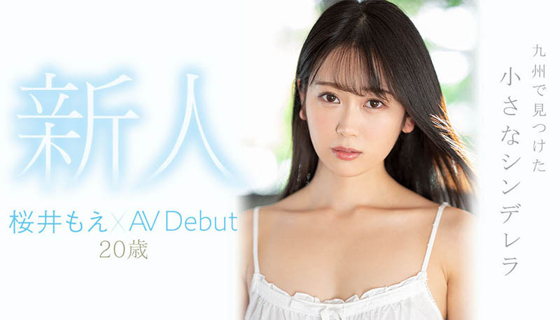 桜井もえ(樱井萌,Sakurai-Moe)作品MIDV-066封面预览及内容赏析-知尤园