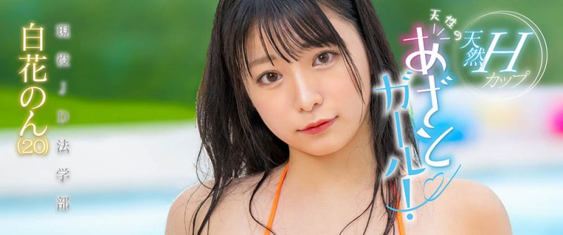 白花のん(白花暖，Shirahana-Non)作品MOGI-061封面预览及内容赏析-知尤园
