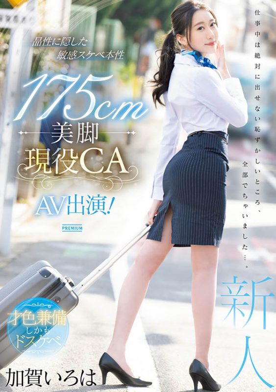 加贺いろは(加贺彩花)最番作品PRED-494封面预览及内容赏析-知尤园