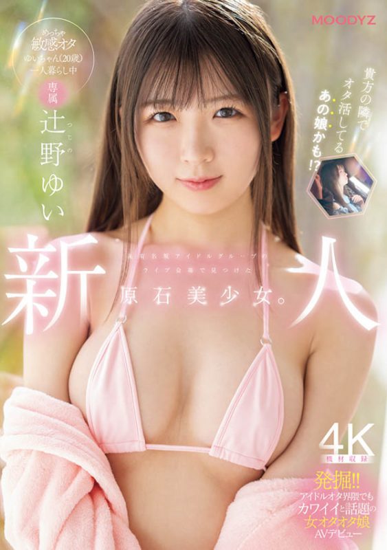 辻野ゆい(辻野唯)最番作品MIDA-228封面预览及内容赏析-知尤园