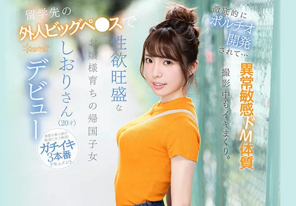 芦那しおり(芦那诗织)IPX-376作品资料及内容简介-知尤园