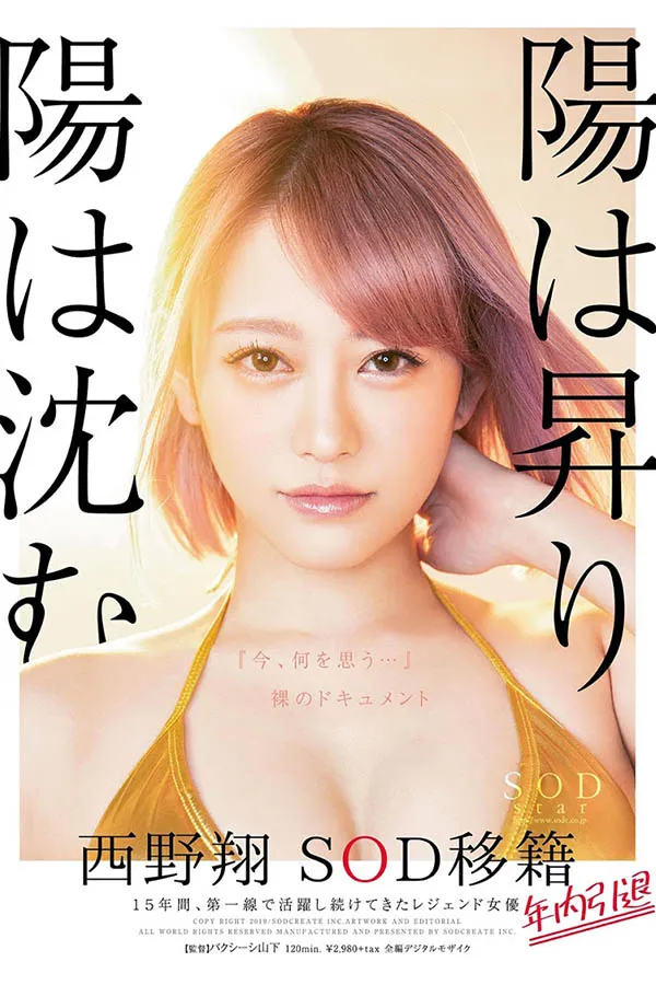 西野翔作品STARS-113详细资料及内容预览介绍-知尤园