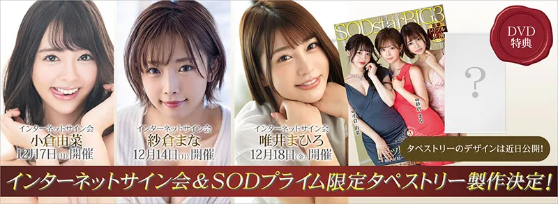 图片[3]-纱仓まな・小仓由菜・唯井まひろ作品STARS-307详细资料与预览介绍-知尤园