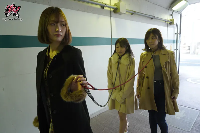 图片[2]-DASS-012作品介绍及主演美谷朱里、皆月ひかる、岬あづさ资料整理-知尤园