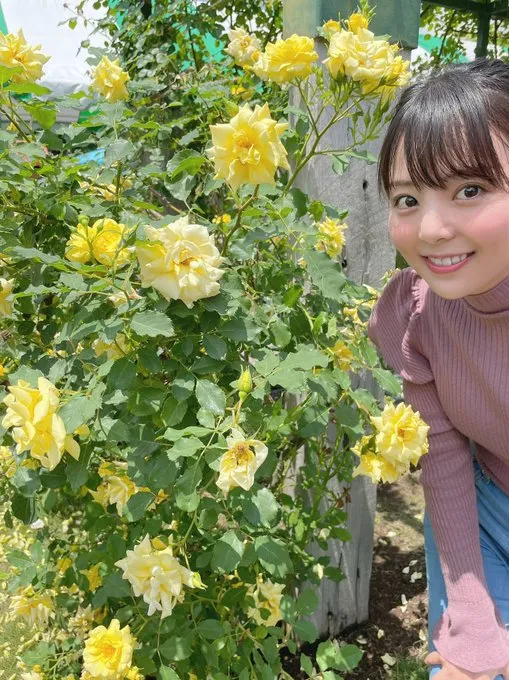 桃乃木かな(桃乃木香奈)作品IPX-453详细资料及内容介绍-知尤园