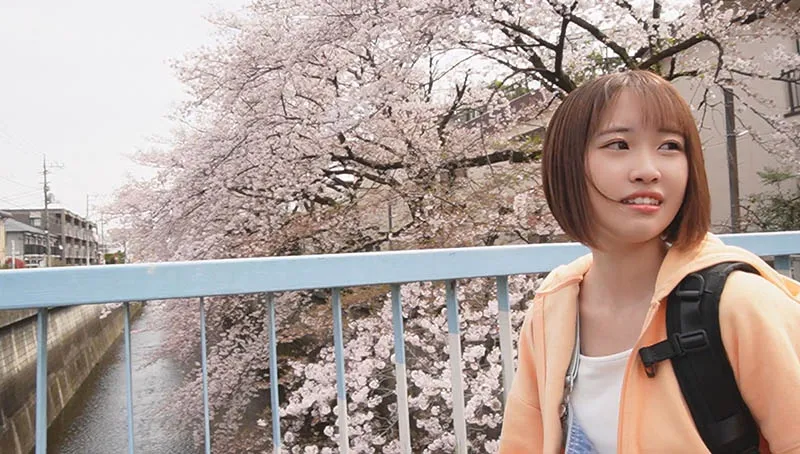 新井里真（新井リマ）JUFE-588作品封面详解及剧情推荐与长尾关键词解析-知尤园